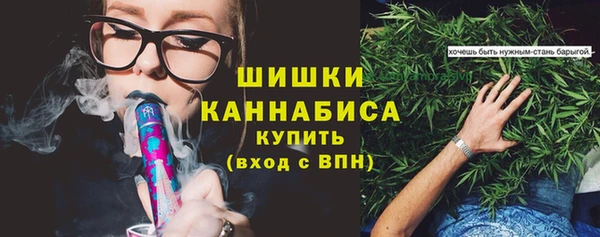 ГАЛЛЮЦИНОГЕННЫЕ ГРИБЫ Белоозёрский