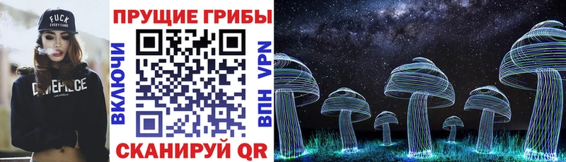 наркошоп Беломорск Галлюциногенные грибы MAGIC MUSHROOMS